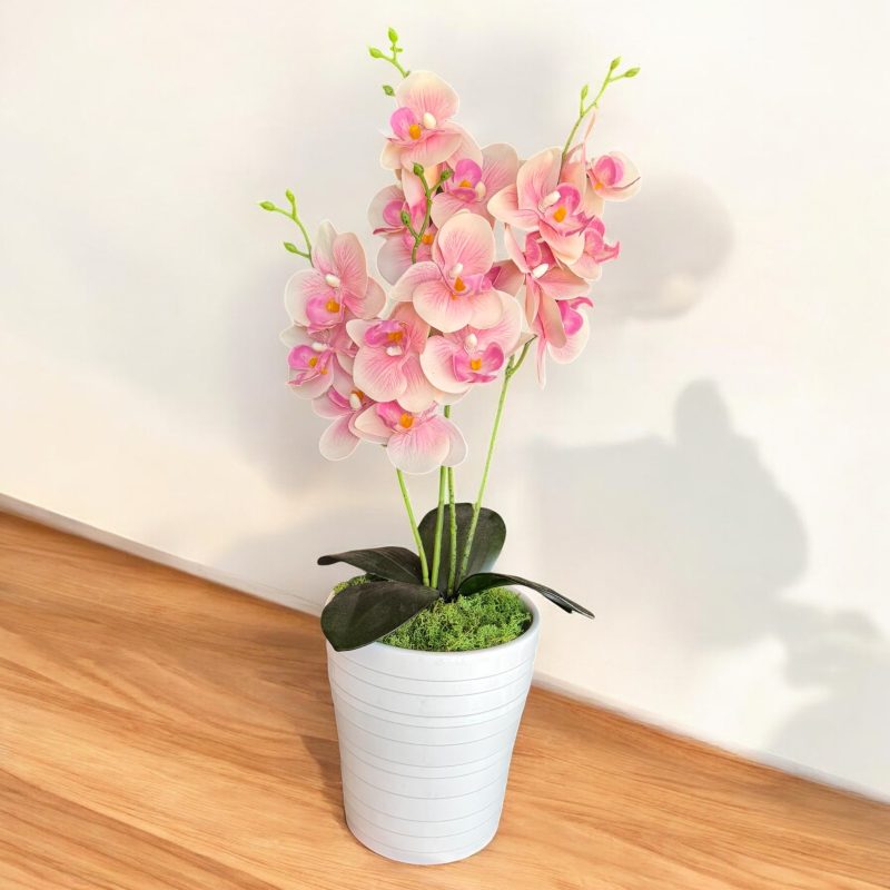 Rózsaszín Orchidea – Fehér Kerámia Kaspóban