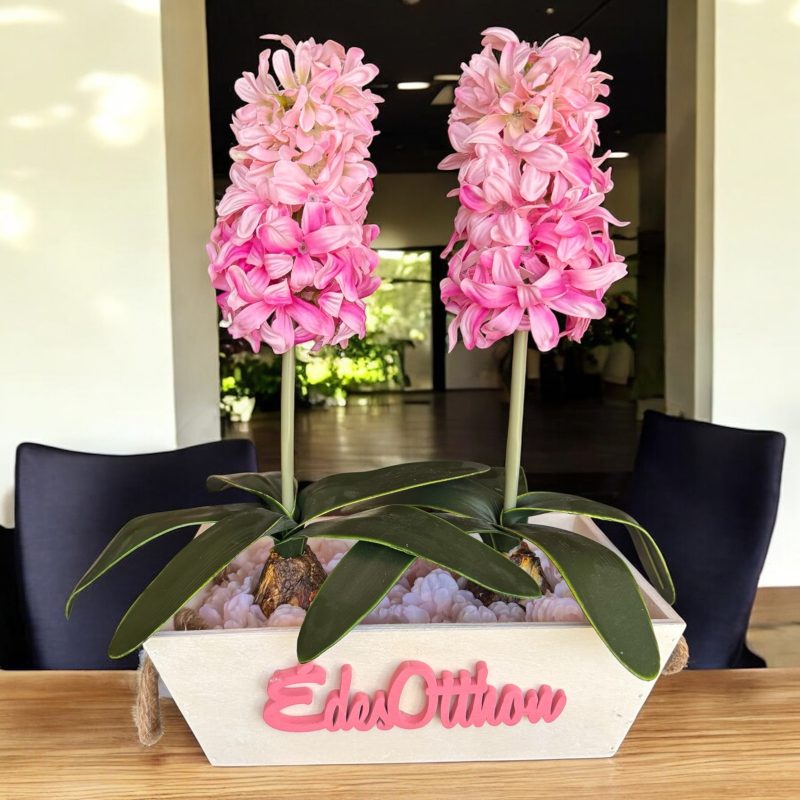 Édes Otthon – Jácintos Asztaldísz